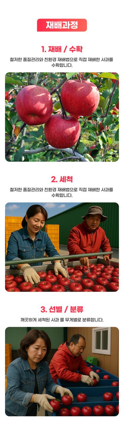 07_재배과정 생산과정_07.jpg